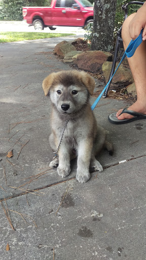 Car Wash «Pirates Cove Car Wash», reviews and photos, 2314 Northpark Dr, Kingwood, TX 77339, USA