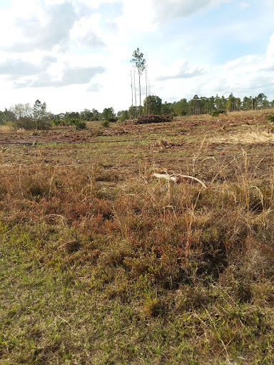 Nature Preserve «Triple Creek Nature Preserve», reviews and photos, 13112 Balm Boyette Rd, Riverview, FL 33579, USA