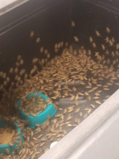 Pet Supply Store «PetSmart», reviews and photos, 11945 Central Ave, Chino, CA 91710, USA