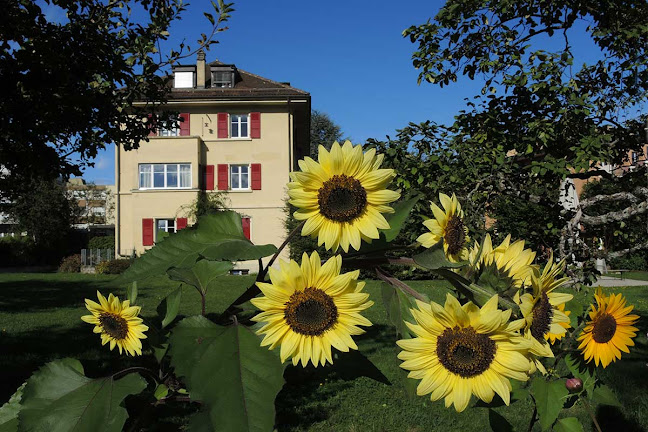 Foyer des Lys