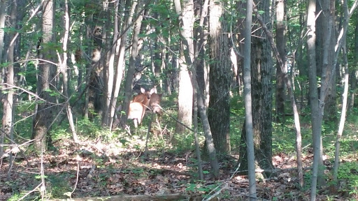 Hiking Area «Den Rock Park», reviews and photos, Stirling St, Andover, MA 01810, USA