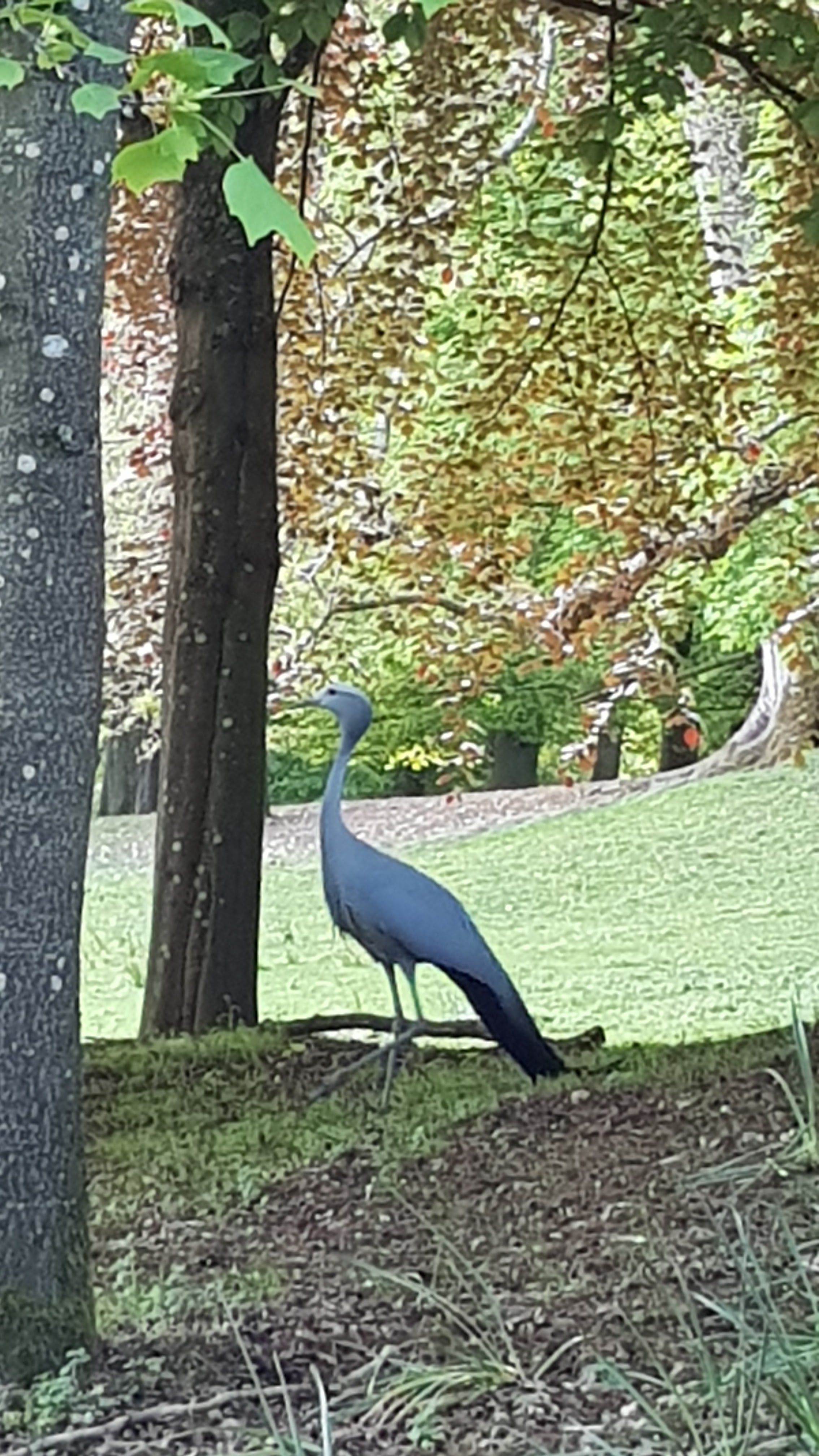 Photo n° 15 de l'avis de Tirlipinpon.u fait le 12/05/2019 à 18:48