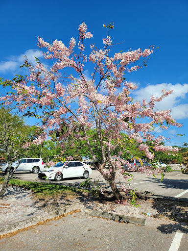 Tourist Attraction «Butterfly World», reviews and photos, 3600 W Sample Rd, Coconut Creek, FL 33073, USA