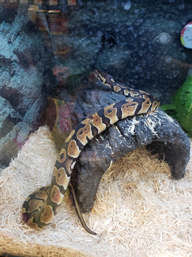 Pet Supply Store «Petco Animal Supplies», reviews and photos, 5 Bel Air S Pkwy #213B, Bel Air, MD 21014, USA