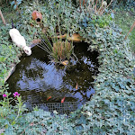 Photo n°2 de l'avis de Vera.o fait le 17/01/2022 à 21:41 sur le  Nature et al. House à Batalha