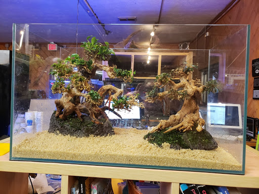 Pet Store «Bluewater Zoo Exotic Aquariums & Reptiles», reviews and photos, 159 Miracle Strip Pkwy SE, Fort Walton Beach, FL 32548, USA