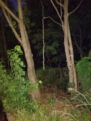 Public Golf Course «Clearview Park Golf Course», reviews and photos, 202-12 Willets Point Blvd, Queens, NY 11360, USA