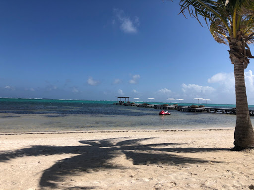 Travel Agency «Travel Leaders - RSVP Events & Travel», reviews and photos, 17281 Chesterfield Airport Rd, Chesterfield, MO 63005, USA