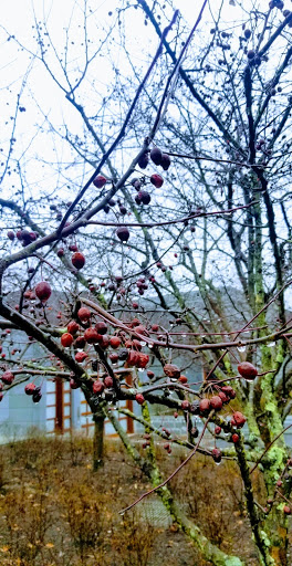 Modern Art Museum «Glenstone», reviews and photos, 12002 Glen Rd, Potomac, MD 20854, USA