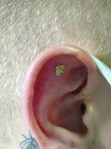 Find cat tattoo ideas simple for your next unique tattoo in Bella Vista at Erins Aesthetics