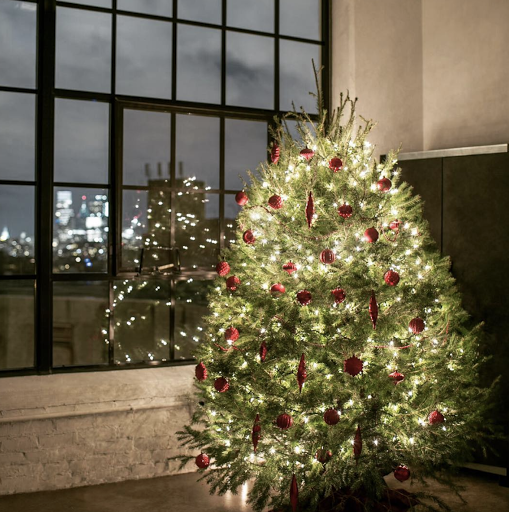 The Christmas Tree Stand