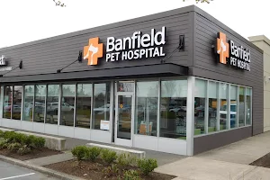 Banfield Pet Hospital image