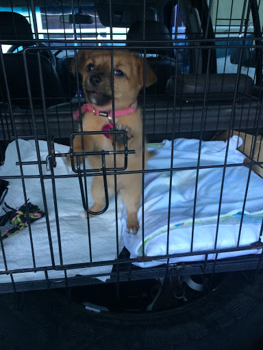 Department Store «Marshalls», reviews and photos, 1431 NY-300, Newburgh, NY 12550, USA