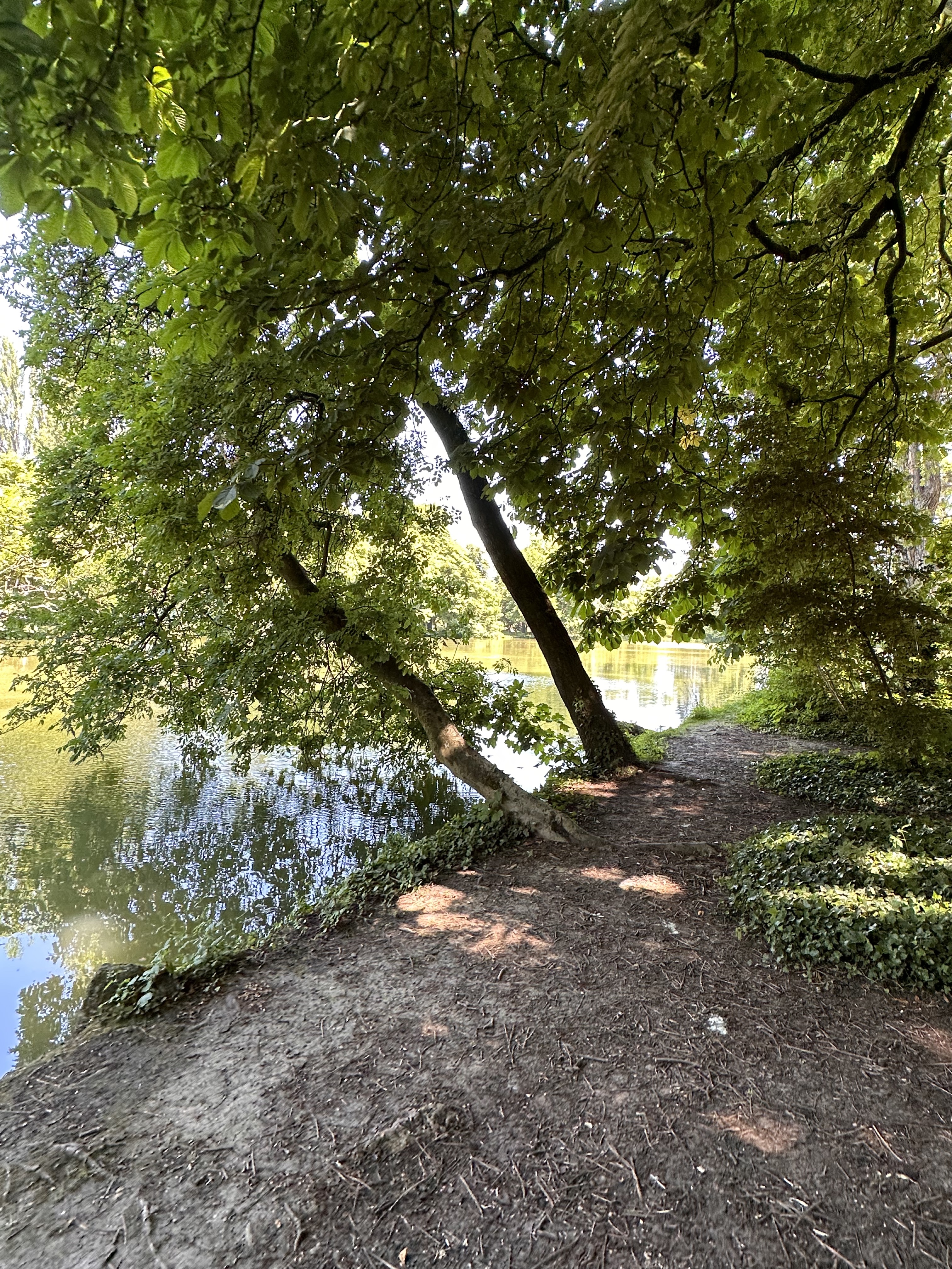 Photo n° 11 de l'avis de Rita.P fait le 08/06/2023 à 21:16