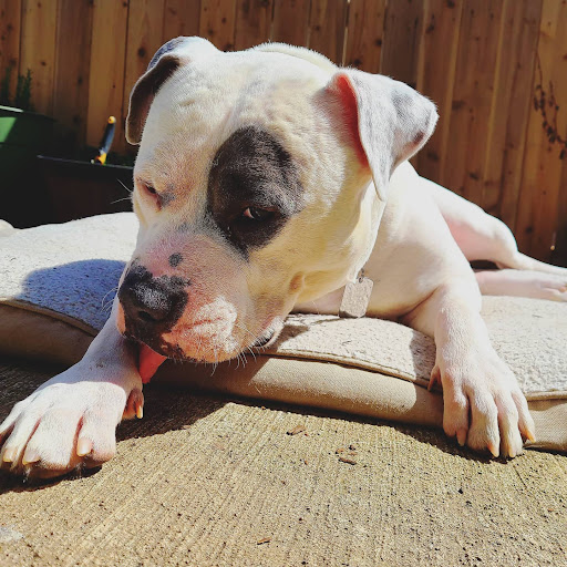 416 NE 112th Ave, Vancouver, WA 98684, USA