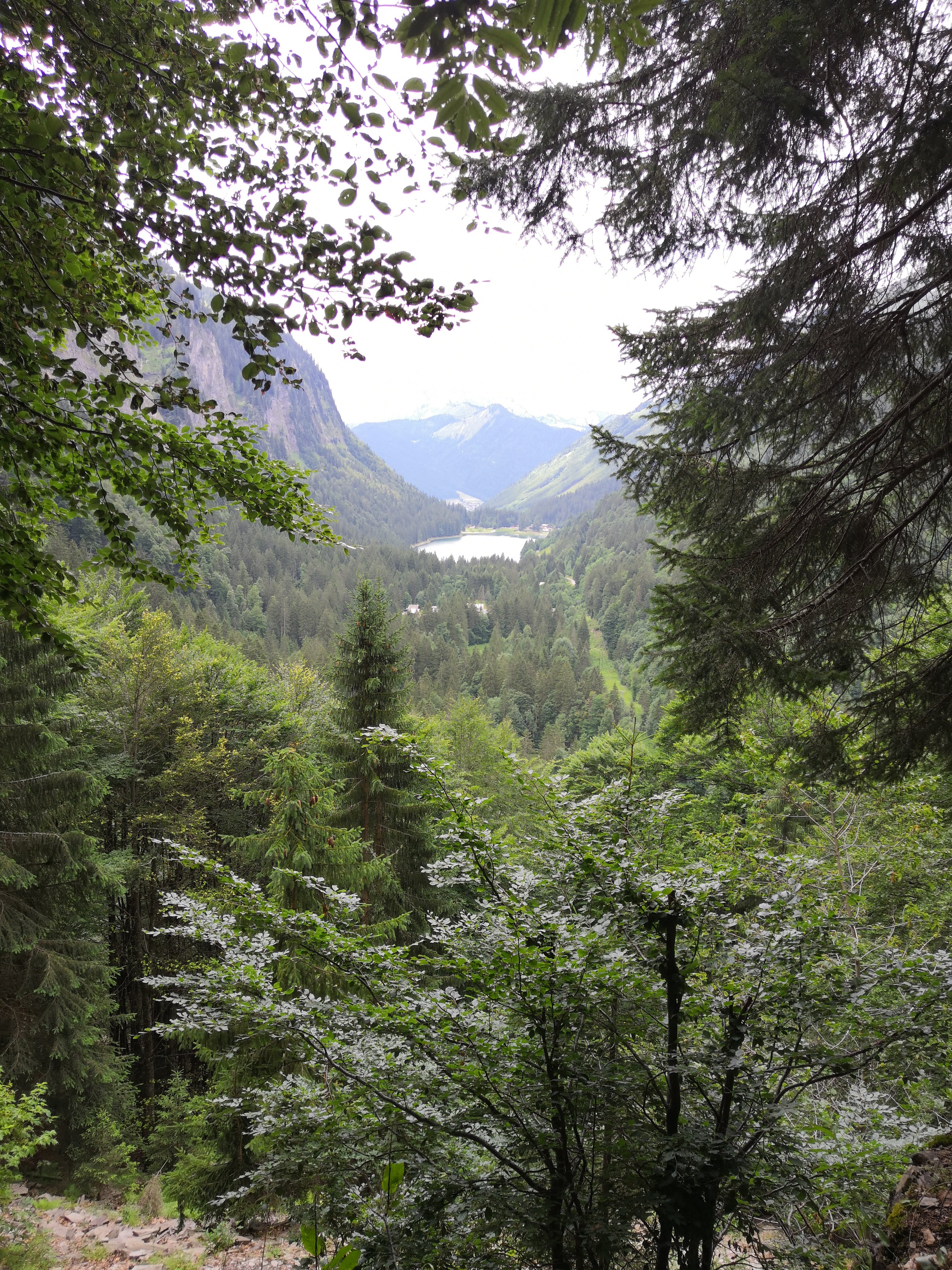 Photo n° 11 de l'avis de Régis.a fait le 21/08/2019 à 21:18