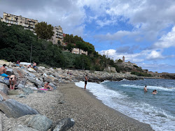 Photo de Ficaghjola Beach et le règlement