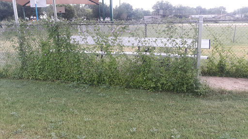 Park «Lackland Terrace Park», reviews and photos, 7902 Westshire Dr, San Antonio, TX 78227, USA