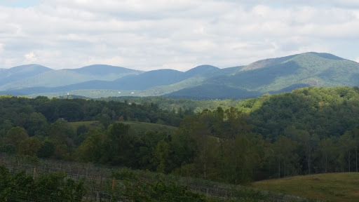 Vineyard «Kaya Vineyard & Winery», reviews and photos, 5400 Town Creek Rd, Dahlonega, GA 30533, USA