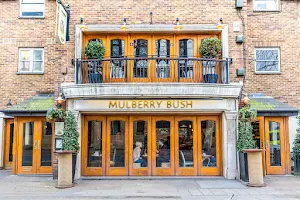 Mulberry Bush image