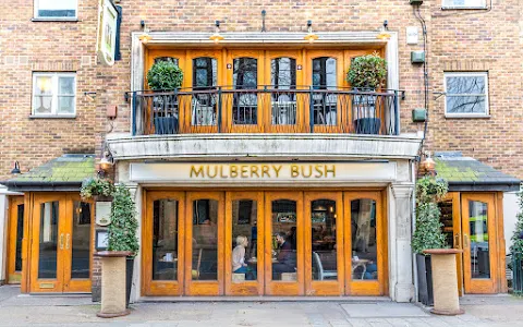Mulberry Bush image