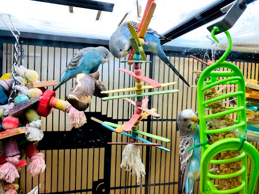 Pet Supply Store «PetSmart», reviews and photos, 2101 NJ-35, Holmdel, NJ 07733, USA