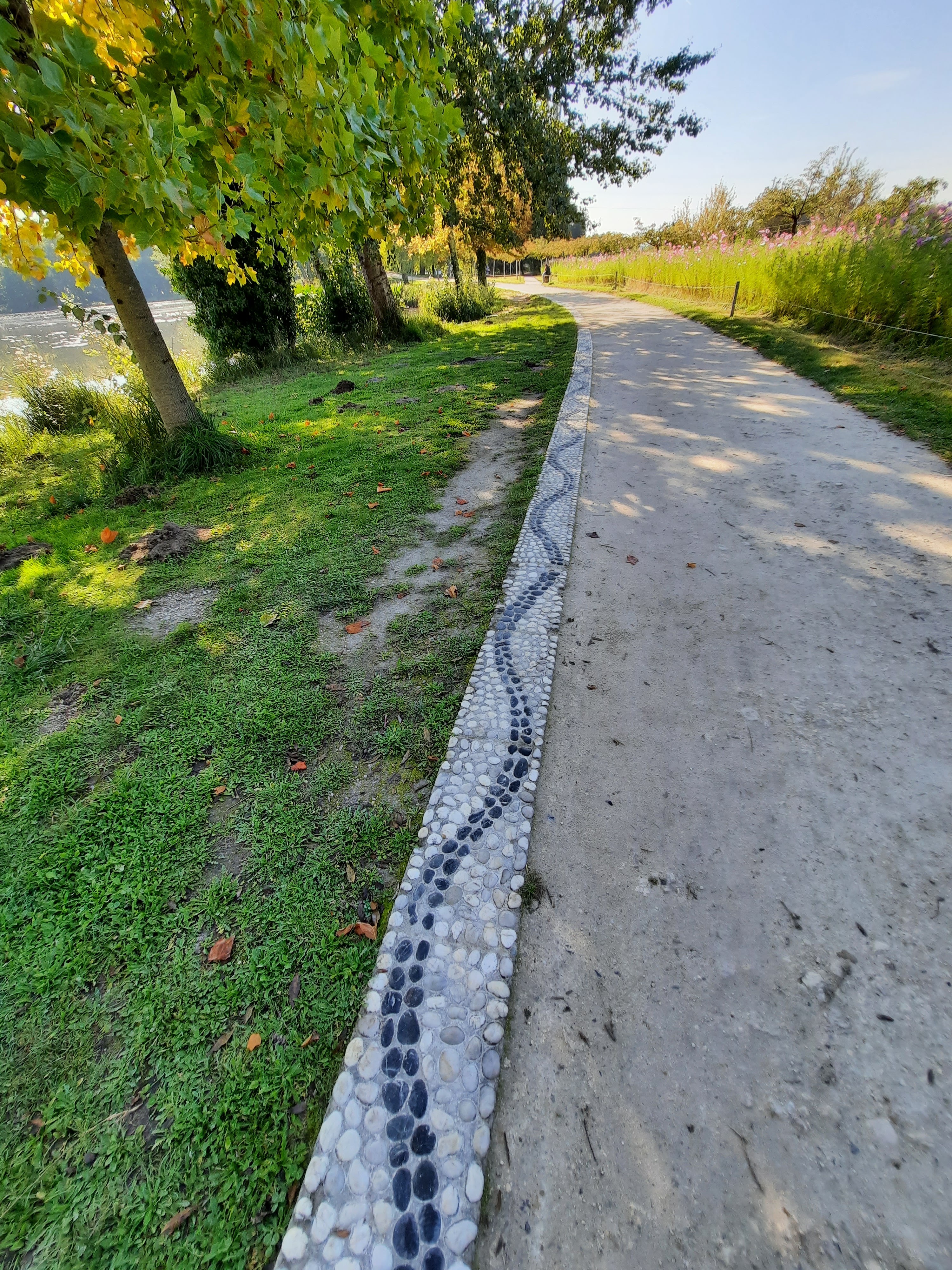 Photo n° 41 de l'avis de teixeira.a fait le 16/10/2021 à 21:10