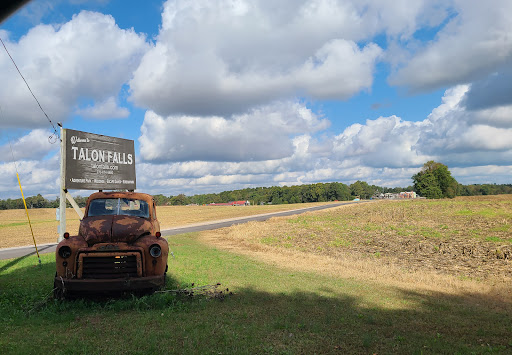 Theme Park «Talon Falls», reviews and photos, 2932 KY-849, Melber, KY 42069, USA