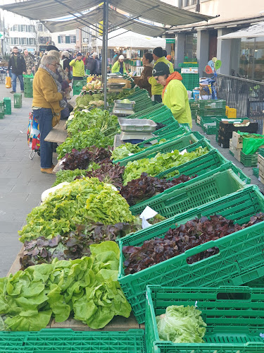 Rezensionen über Badener Wochenmarkt in Wettingen - Markt