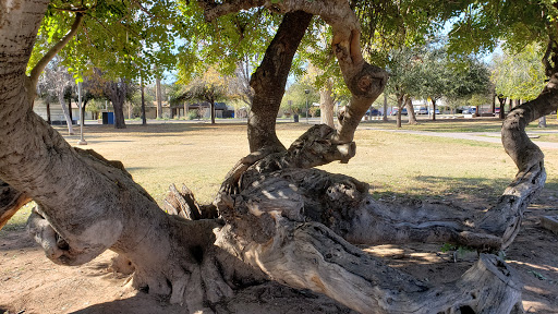 Park «Daley Park», reviews and photos, 1625 S College Ave, Tempe, AZ 85281, USA