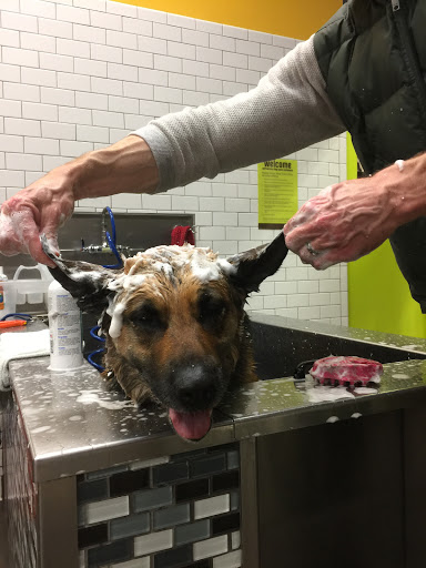 Pet Supply Store «Unleashed by Petco», reviews and photos, 432 Westlake Center, Daly City, CA 94015, USA