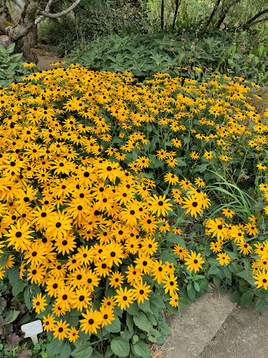 Resort «Oregon Garden», reviews and photos, 879 W Main St, Silverton, OR 97381, USA