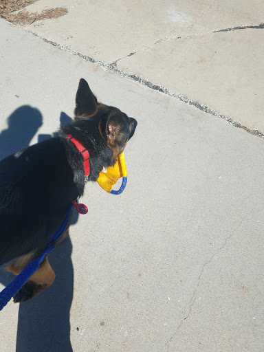 Pet Supply Store «Premier Pet Supply», reviews and photos, 31215 Southfield Rd, Beverly Hills, MI 48025, USA