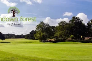 Ferndown Forest Golf Course & Toptracer Driving Range image