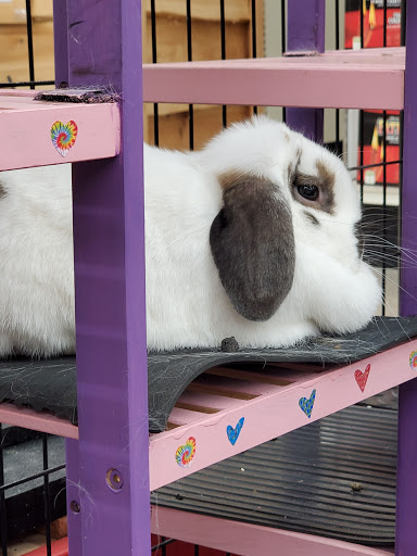 Department Store «Runnings of Brockport», reviews and photos, 4828 Lake Rd N, Brockport, NY 14420, USA