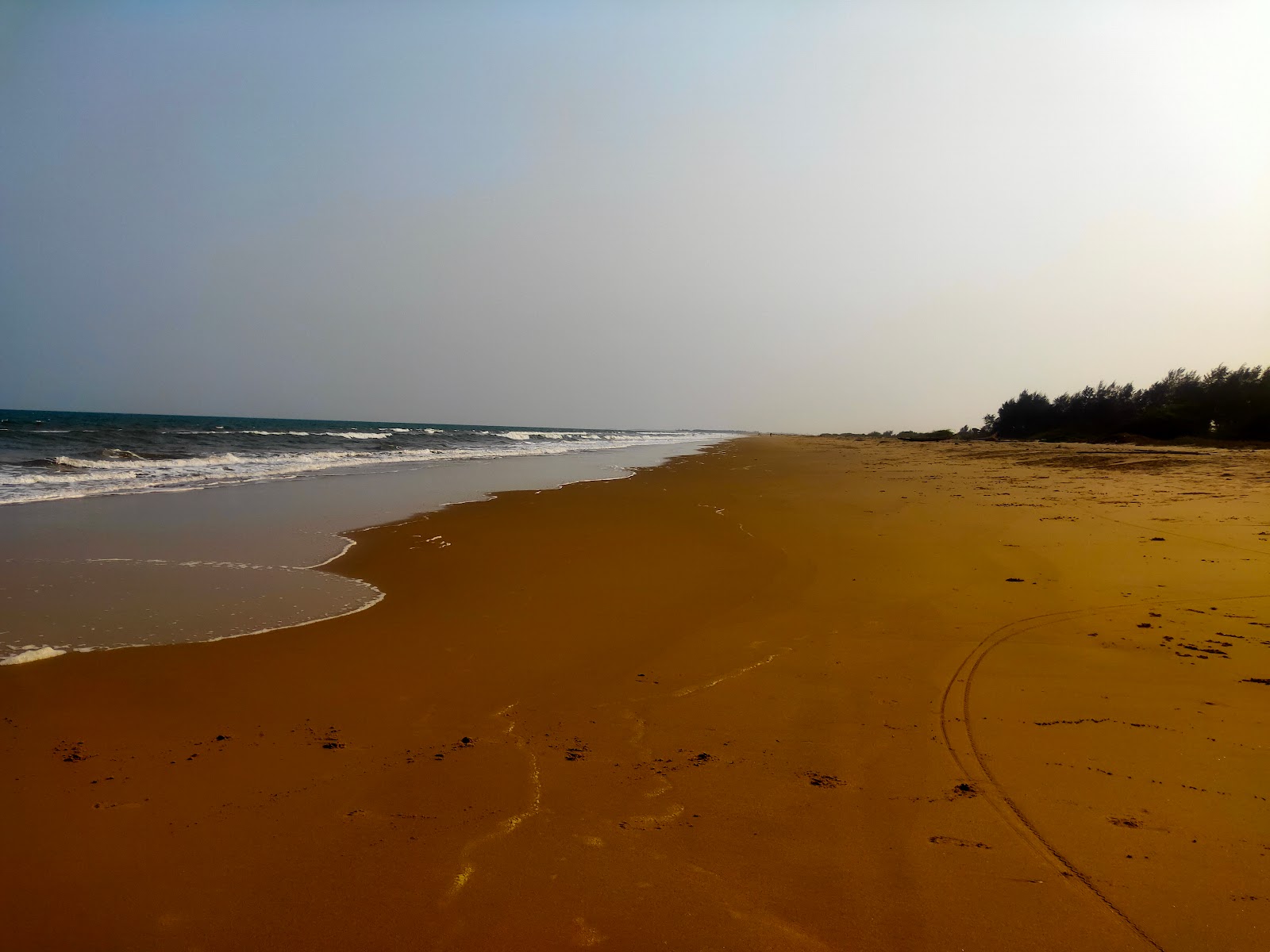 Fotografija Chinaganjam Beach divje območje