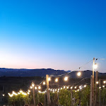 Photo n°1 de l'avis de silvia.h fait le 31/07/2022 à 21:22 sur le  Tenute Poggio di Bobi à Lamporecchio