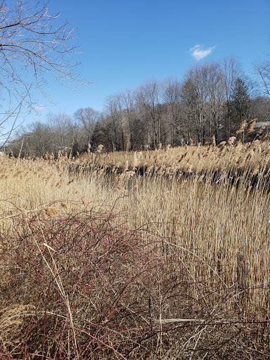 Historical Landmark «Shore Line Trolley Museum», reviews and photos, 17 River St, East Haven, CT 06512, USA