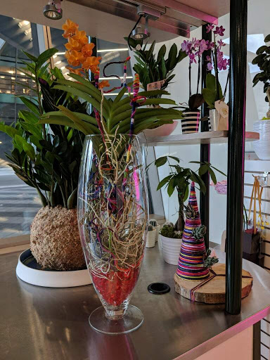 Florist «Flowers By Pouparina», reviews and photos, 1868 W Flagler St, Miami, FL 33135, USA