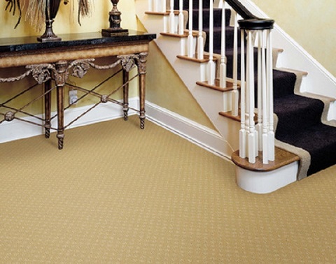 Carpet Cleaning North Vancouver, 