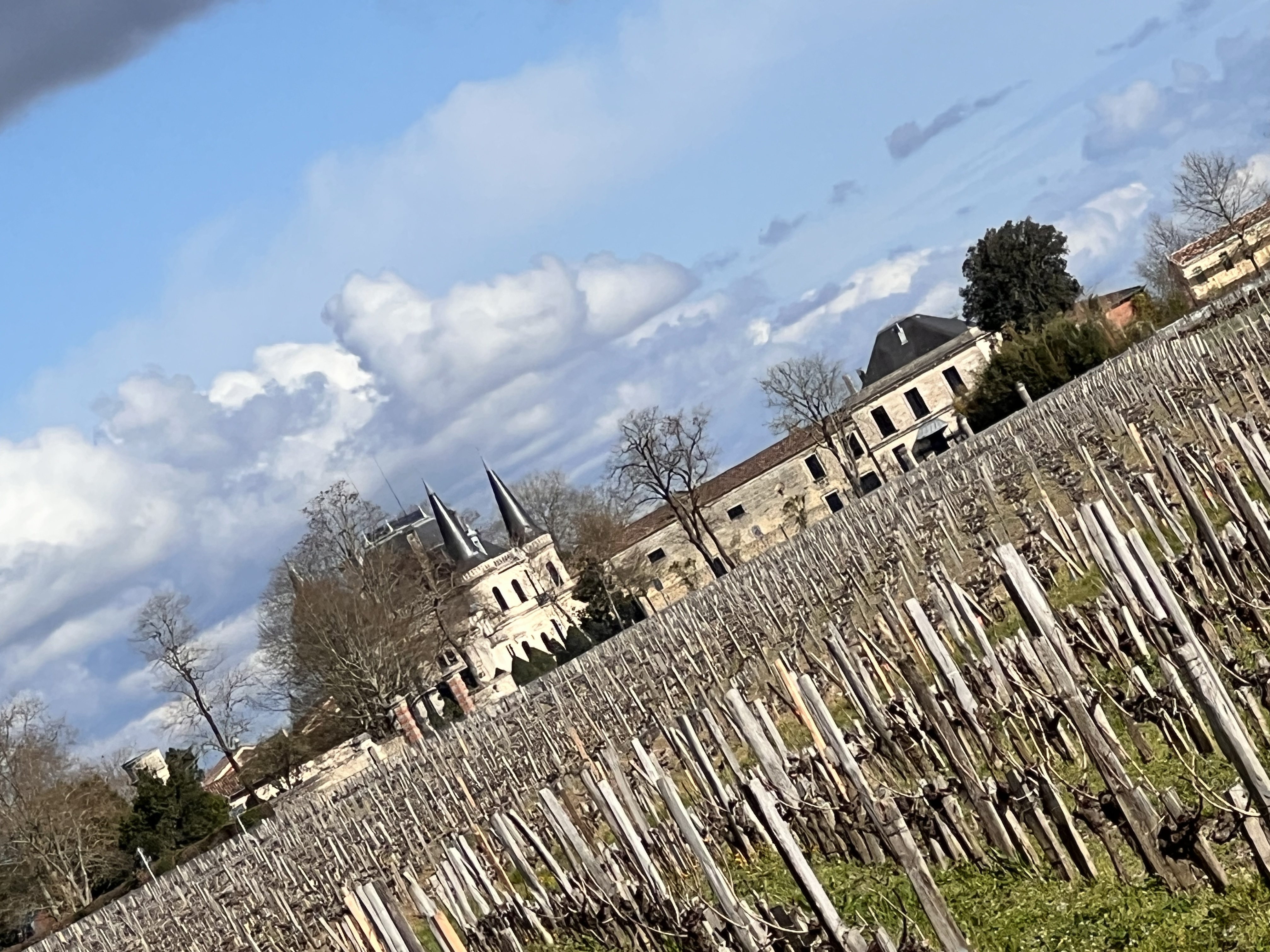 Photo n° 3 de l'avis de Wayne.e fait le 21/03/2023 à 15:18