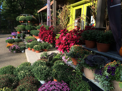 Hardware Store «Northwood Hardware, Home & Garden», reviews and photos, 6053 S Glen Lake Rd, Glen Arbor, MI 49636, USA