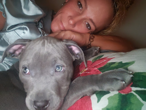 Pet Supply Store «Pet Supplies Plus», reviews and photos, 7954 Brewerton Rd #400, Cicero, NY 13039, USA