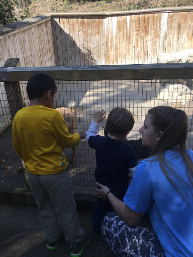 Home Improvement Store «Tractor Supply Co.», reviews and photos, 115 4 Seasons Blvd a, Hendersonville, NC 28792, USA