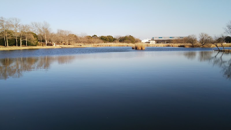 宝蔵寺沼