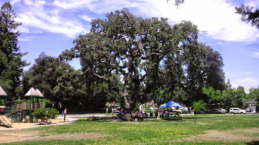 Park «Stafford Park», reviews and photos, 50 King St, Redwood City, CA 94062, USA