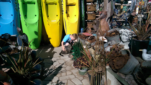 Surf Shop «Pismo Beach Surf Shop», reviews and photos, 470 Price St, Pismo Beach, CA 93449, USA