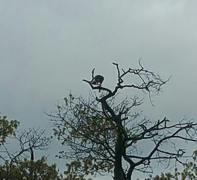 Park «Post Park», reviews and photos, 451 Unqua Rd, Massapequa Park, NY 11762, USA