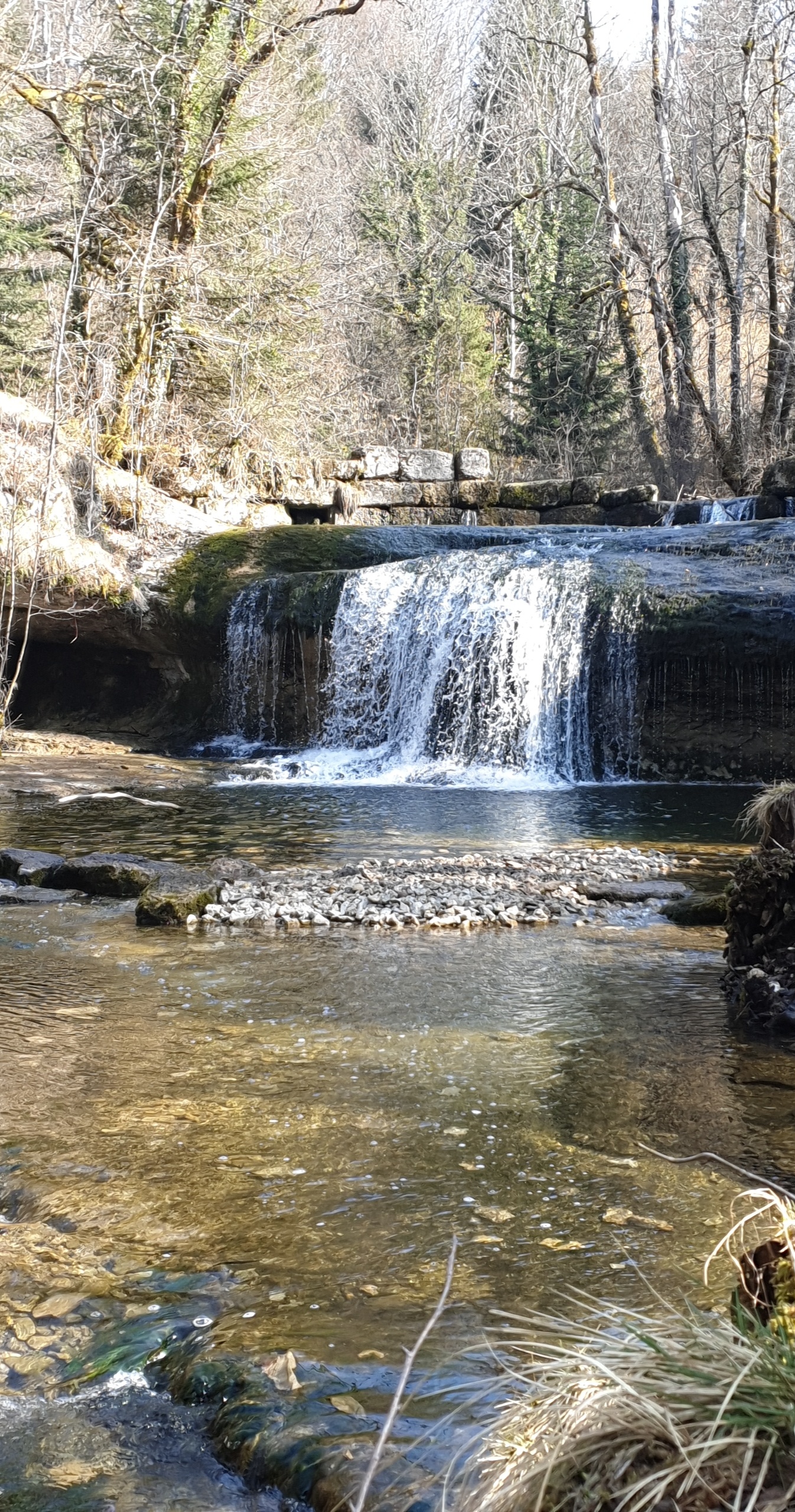 Photo n° 8 de l'avis de pirrera.o fait le 12/03/2021 à 07:17