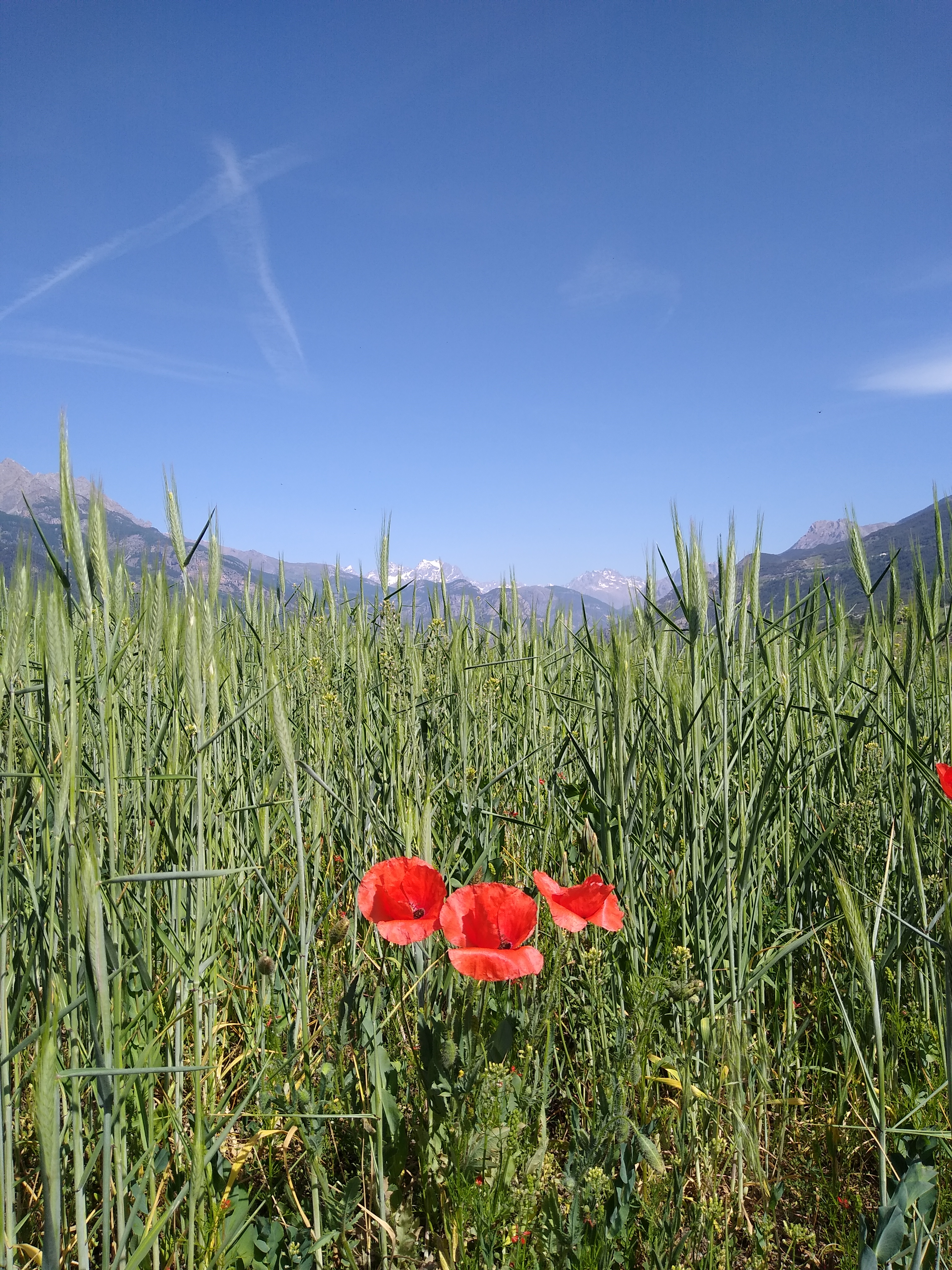 Photo n° 1 de l'avis de Stéphane.a fait le 22/05/2022 à 18:51